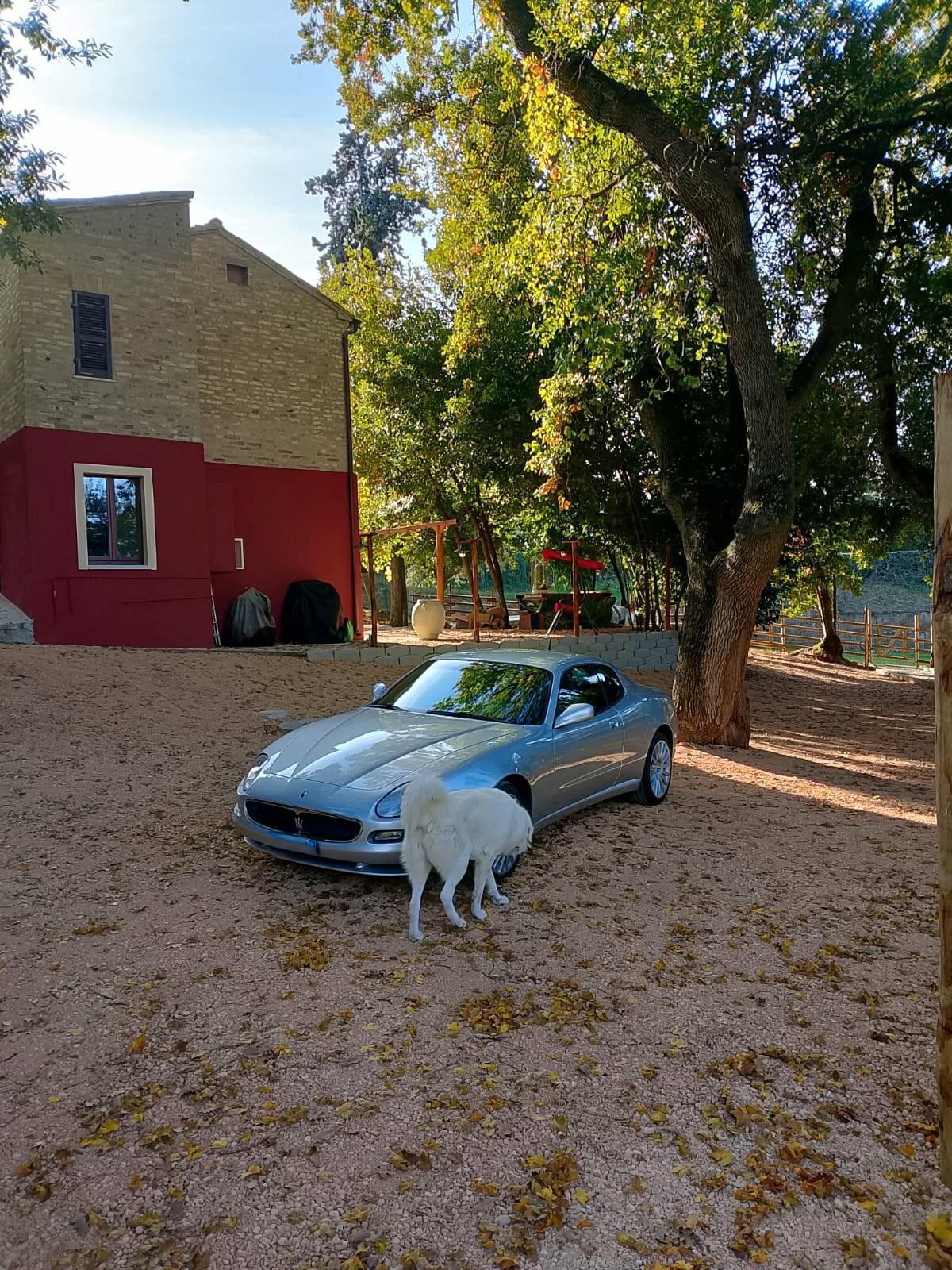 Maserati Coupe Coupé 4.2 V8 32V Cambiocorsa
