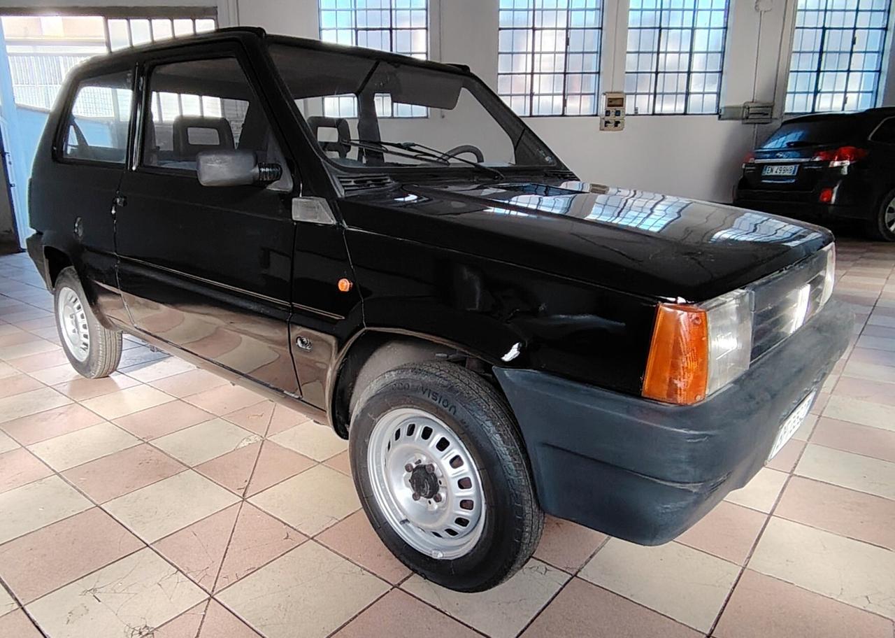 Fiat Panda 900 i.e. cat Young