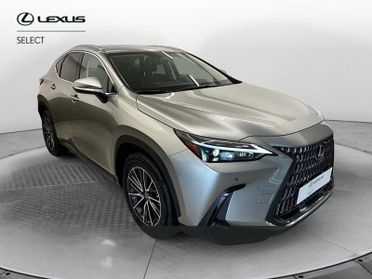 Lexus NX NX Plug-in 4WD Premium +