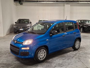 Fiat Panda 1.0 FireFly Hybrid 70CV Icon Km.0 (756)