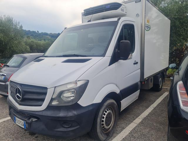 MERCEDES-BENZ Sprinter 316 CASSONE FISSO CDI ISOTERMICO F R I GO