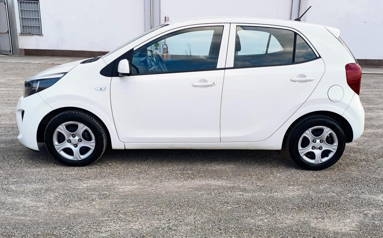 Kia Picanto 1.0 12V 5 porte GT Line
