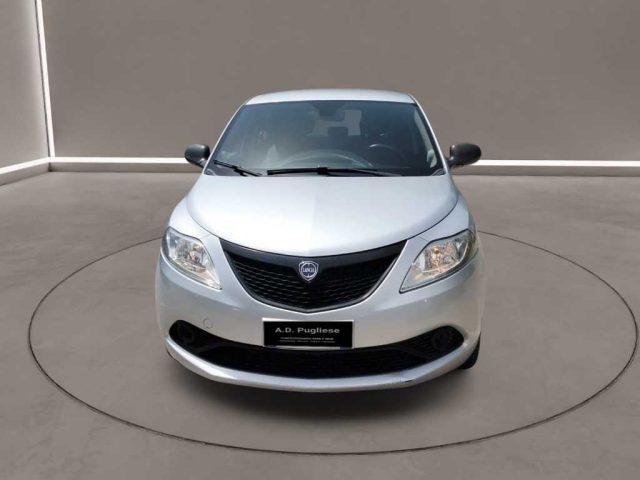 LANCIA Ypsilon 3ª serie - 1.3 MJT 16V 95 CV 5 porte S&S Ele