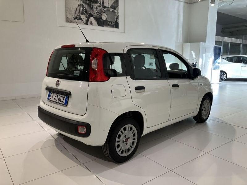 FIAT Panda Panda 1.2 Easy Van 4 posti €5000+iva