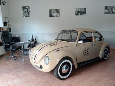 Volkswagen Maggiolino Personalizzato