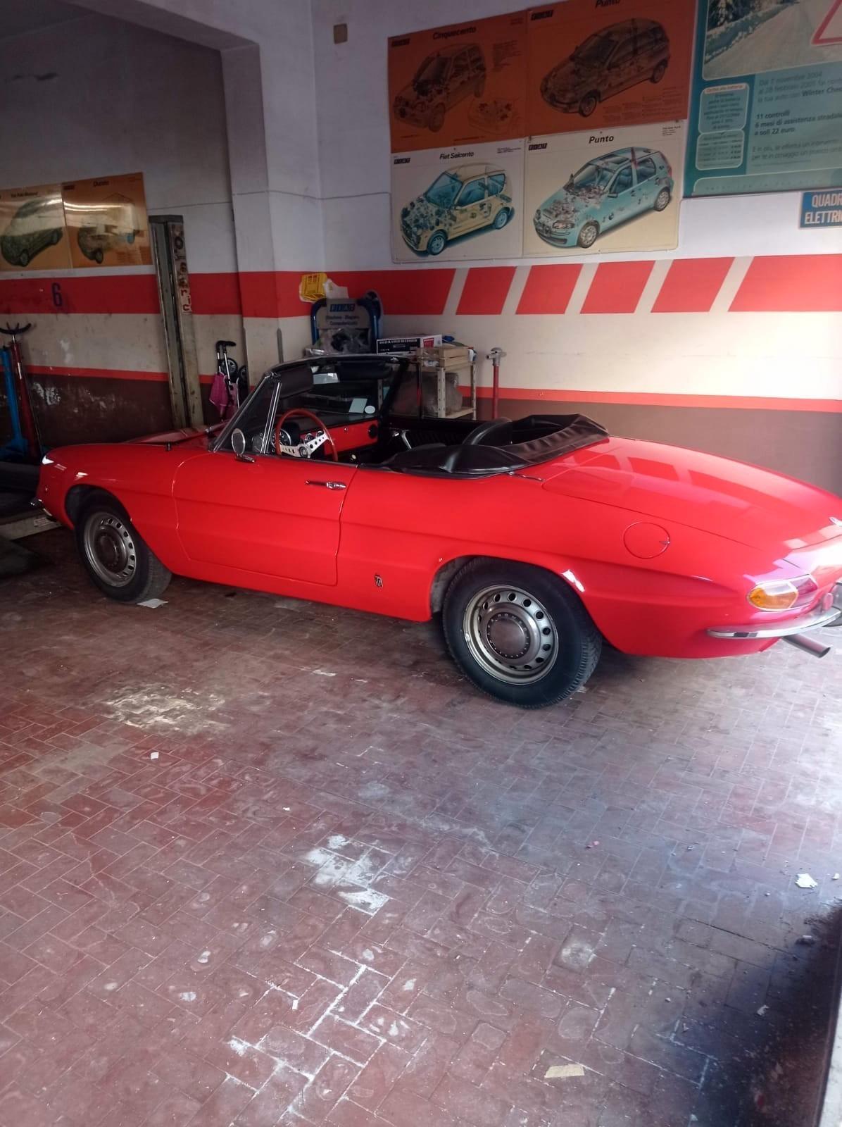 ALFA ROMEO DUETTO SPIDER ** OSSO DI SEPPIA **