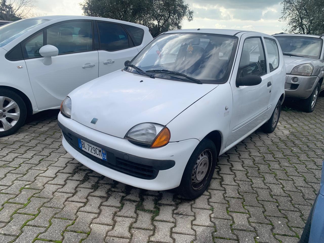 Fiat Seicento 900i cat Young
