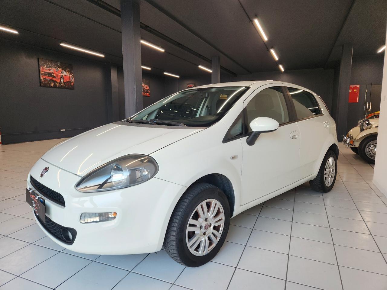 Fiat Punto 1.4 8V 5 porte Natural Power Lounge