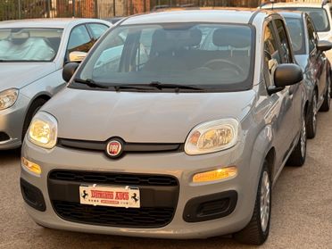 Fiat Panda 1.2 Easy GRIGIO MODA DA NEOPATENTATI