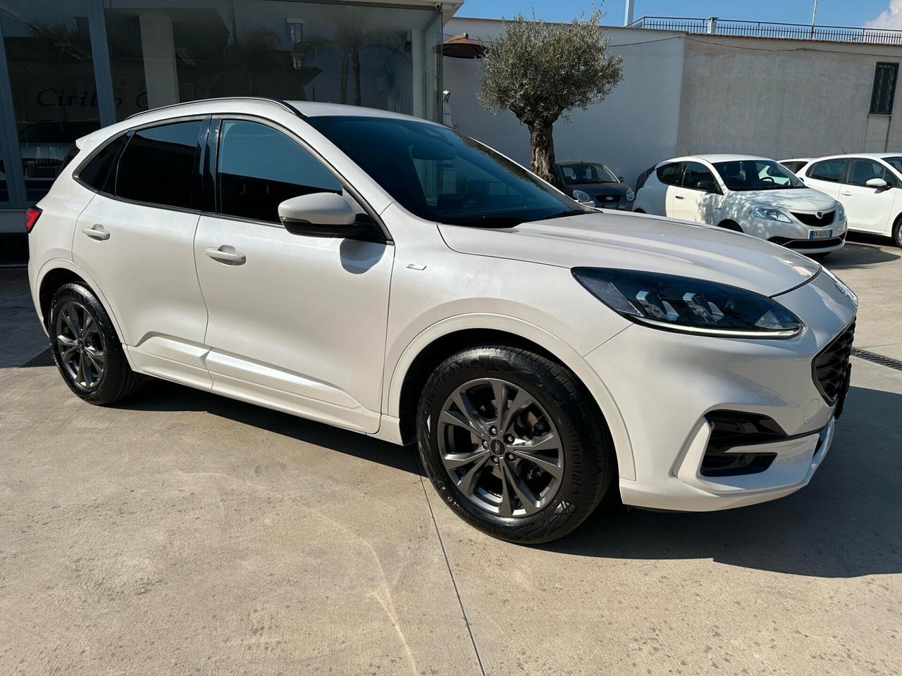 Ford Kuga 1.5 120 CV aut. ST-Line UFFICIALE FORD