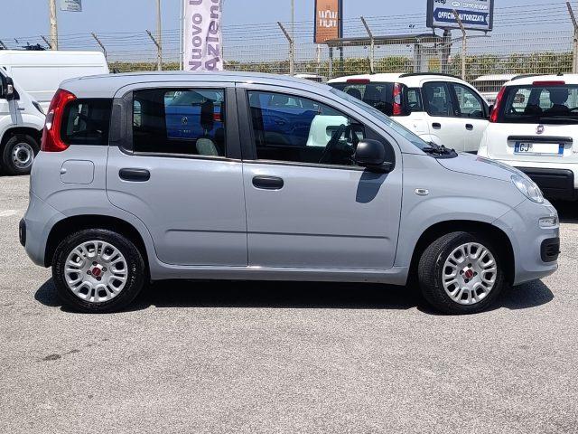 FIAT Panda 1.0 FireFly S&S Hybrid PREZZO REALE