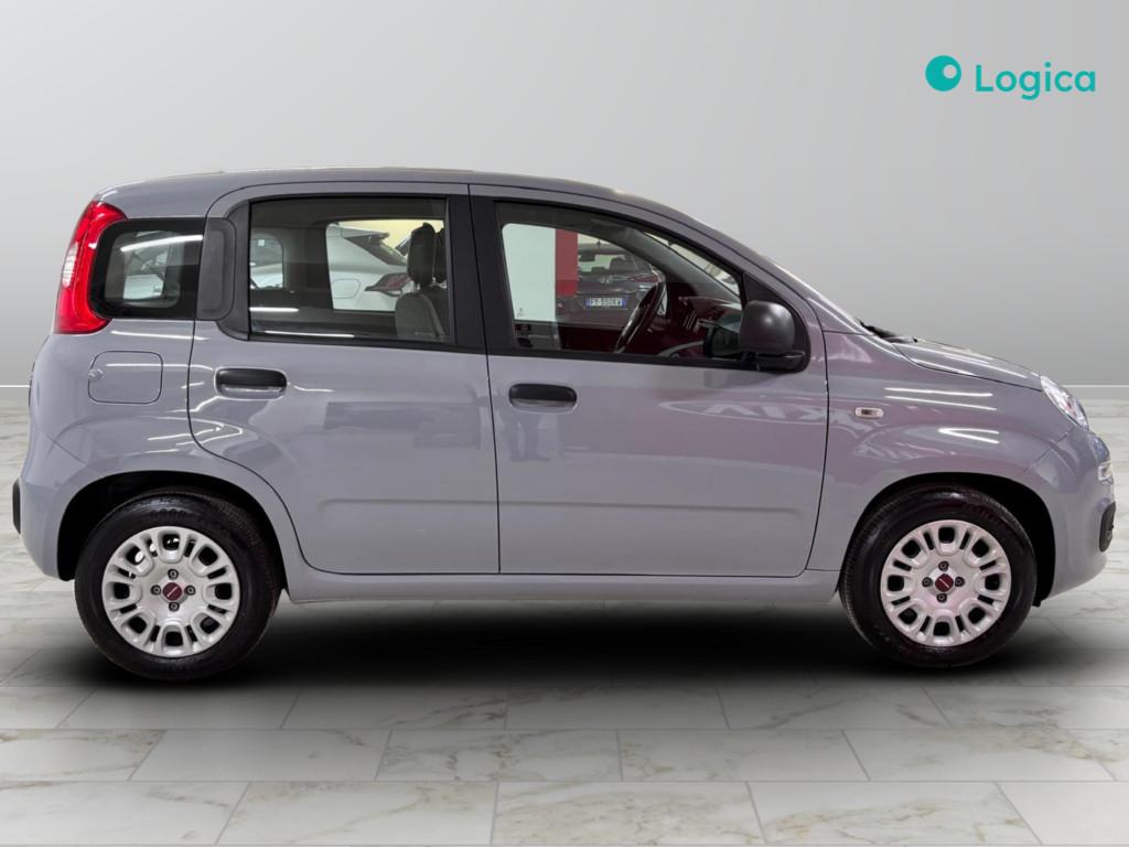 FIAT Panda III 2021 - Panda 1.0 firefly hybrid s&s 70cv