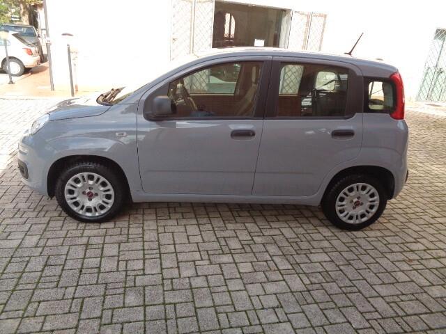 Fiat Panda 1.2 Easy € 6