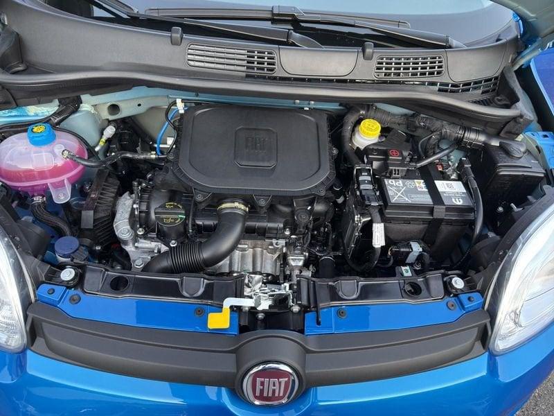 FIAT Pandina Pandina 5p 1.0 FireFly 65cv S&S 6m Hybrid Icon