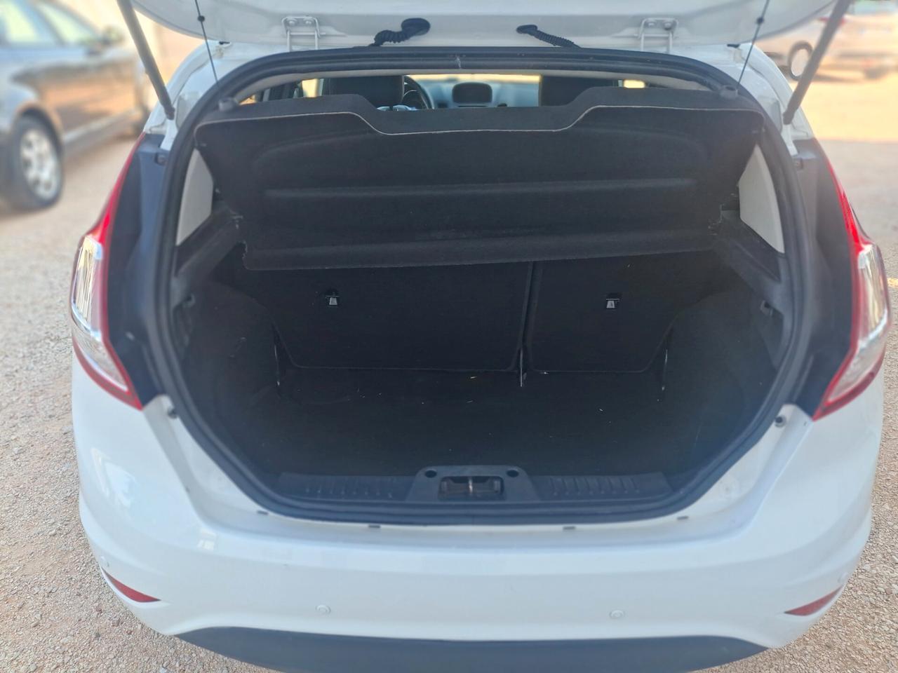 Ford Fiesta 1.5 TDCi 75CV 5 porte Titanium