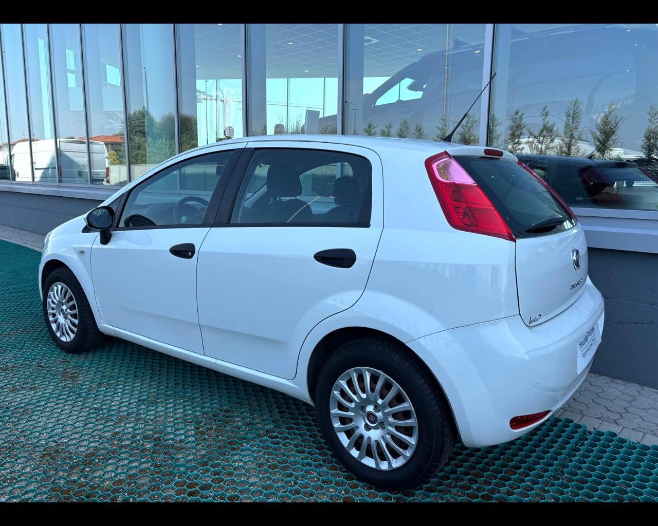FIAT Punto 2012 Benzina - Punto 1.2 Street 5p E6