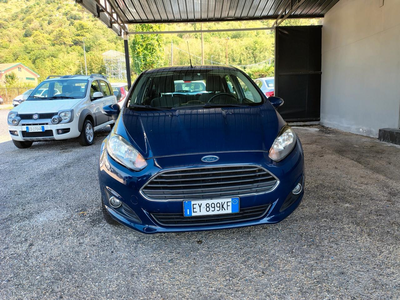 Ford Fiesta 1.5 TDCi 75CV 3 porte Black & White Edition
