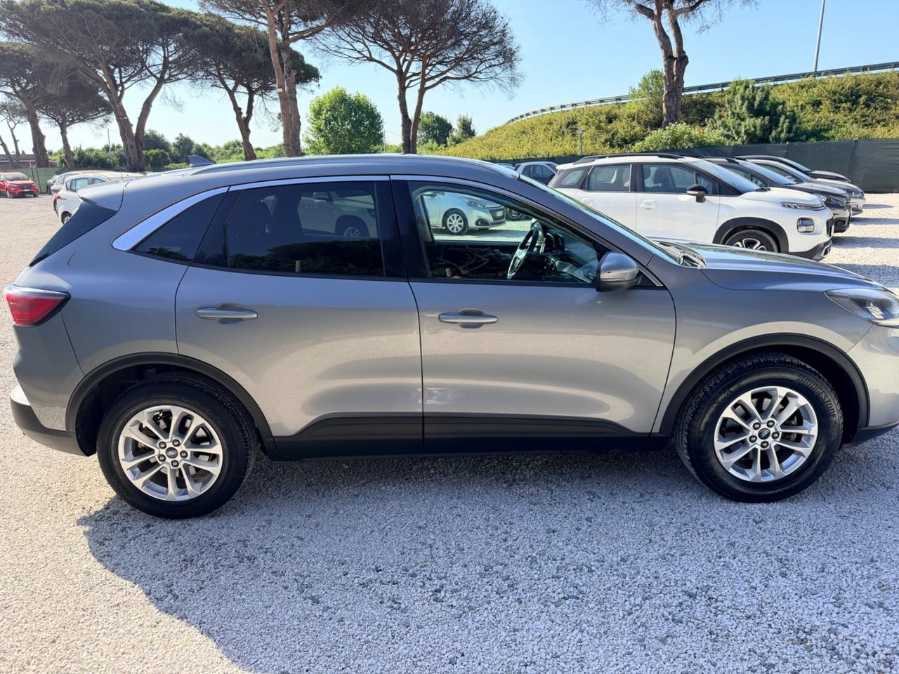 Ford Kuga 1.5 EcoBlue 120 CV 2WD Titanium