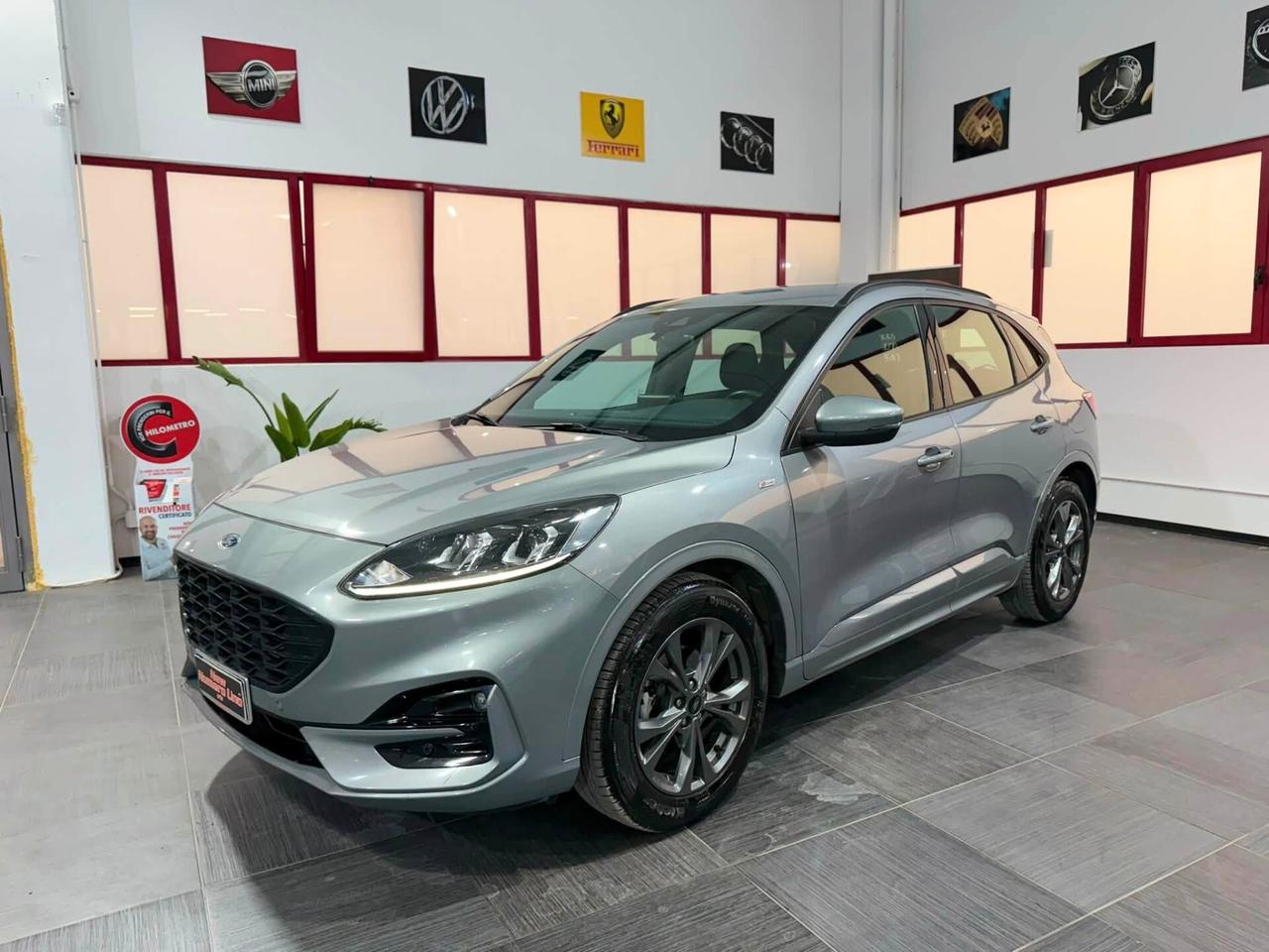 Ford Kuga 1.5 Ecoblue ST-Line 120cv Autom2022
