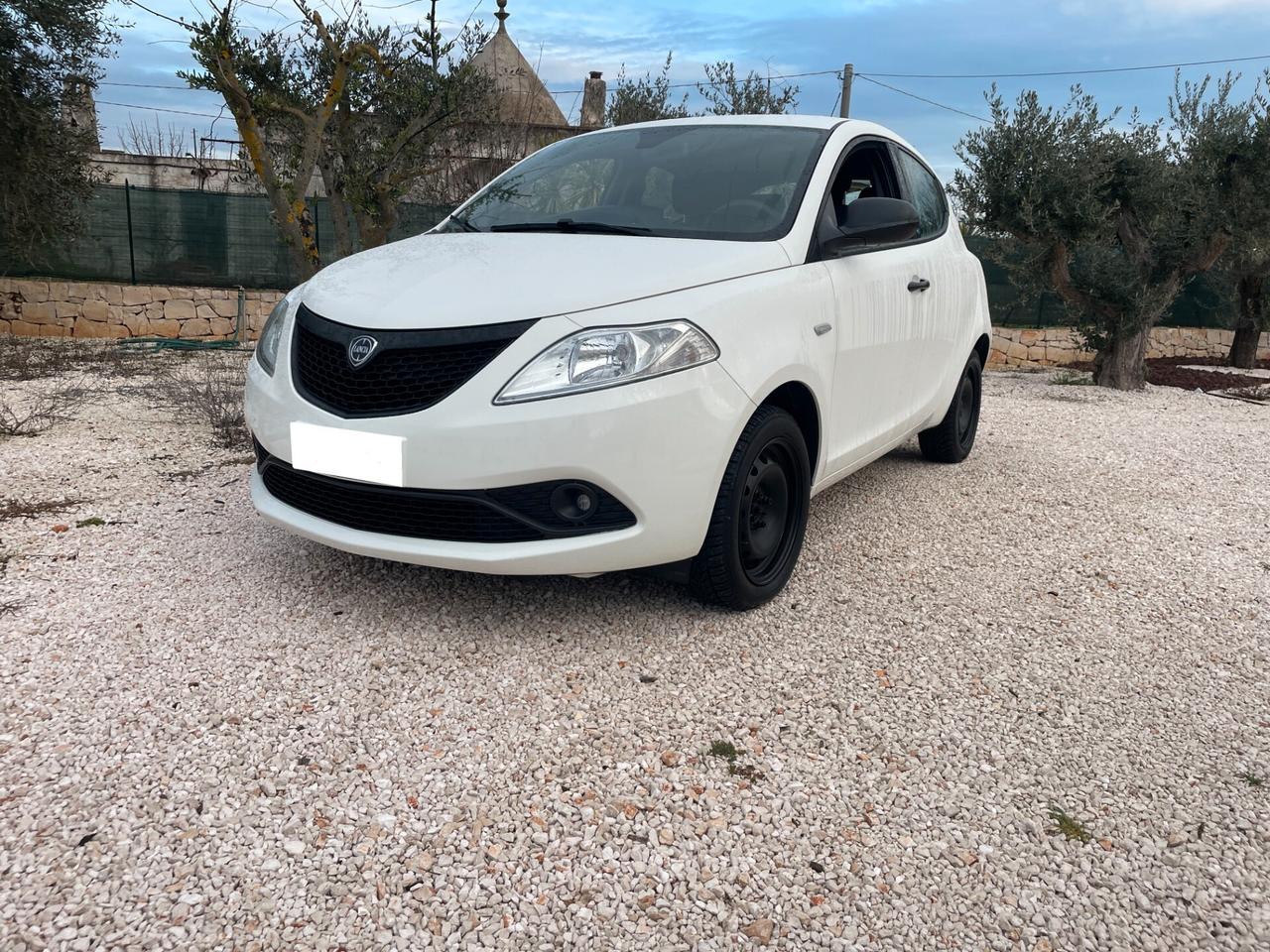 Lancia Ypsilon 1.3 MJT 75 CV Passion AUTOMATICO