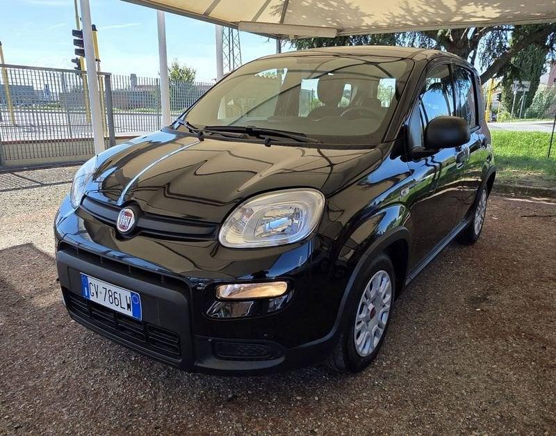 FIAT Panda Panda 1.0 firefly hybrid s&s 70cv 5p.ti