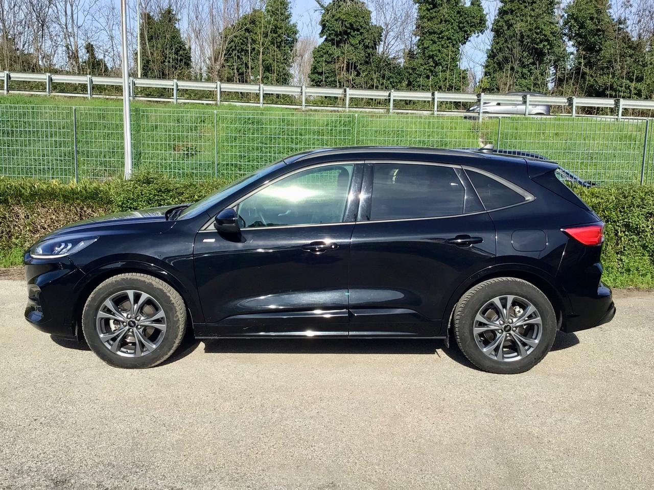 Ford Kuga 2.0 EcoBlue 120 CV Automatico ST-Line