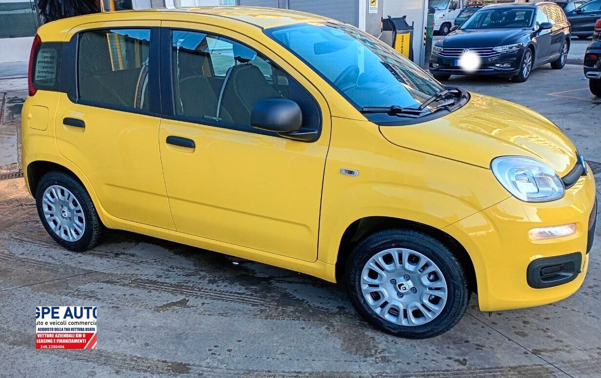 Fiat Panda PANDINA 1.0 FireFly S&S Hybrid Icon
