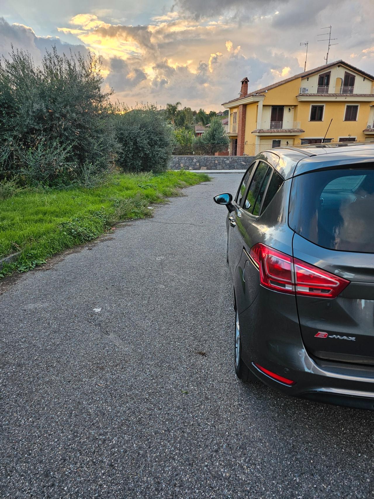 Ford B-Max 1.4 90 CV GPL Titanium