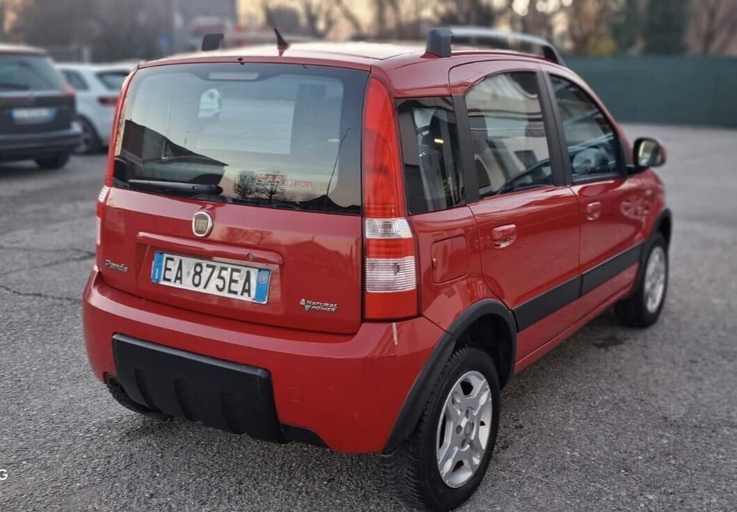 Fiat Panda 1.2 Natural Power Van Active 2 posti