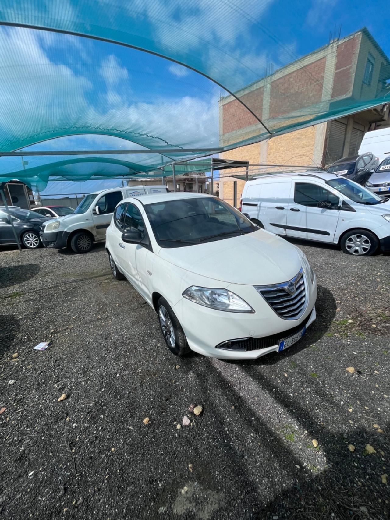 Lancia Ypsilon 1.3 MJT 16V 95 CV 5 porte S&S Platinum