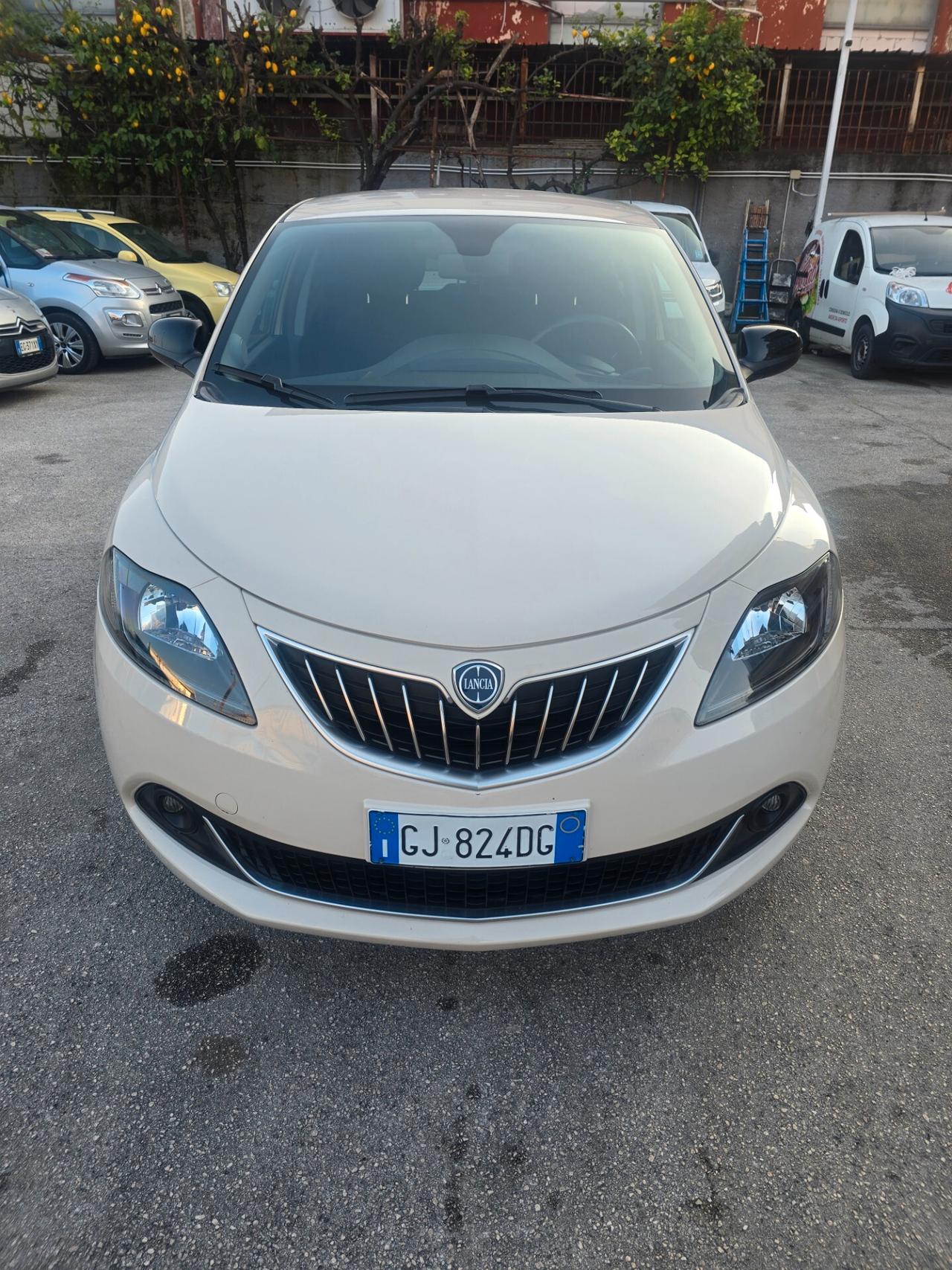 Lancia Ypsilon 1.2 69 CV 5 porte GPL Gold Plus