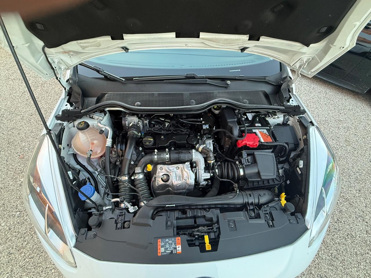 Ford Fiesta 1.5 DIESEL EcoBlue 5 porte Connect iva esposta NEO PATENTATI