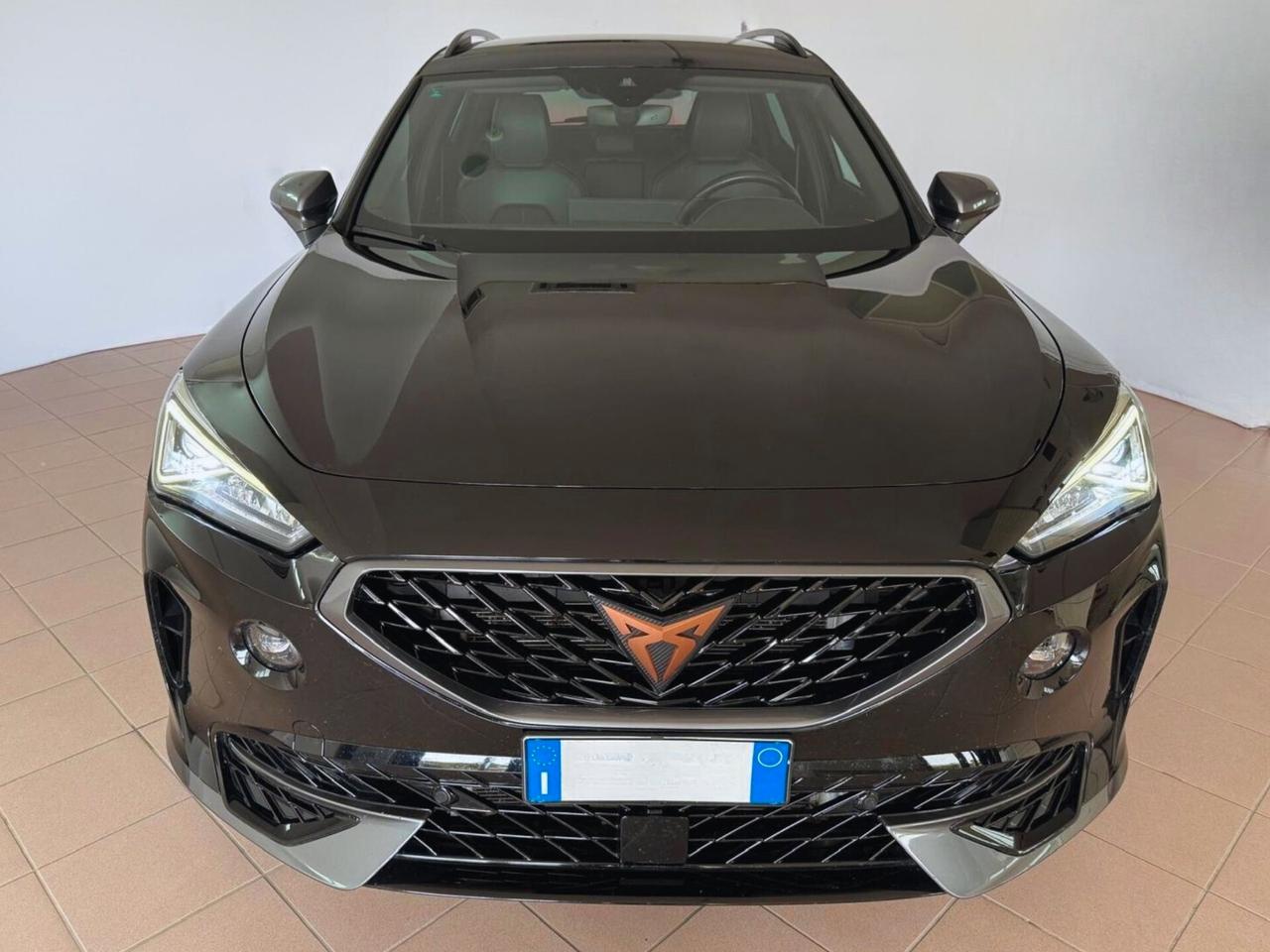 Cupra Formentor 2.0 TDI 4Drive DSG