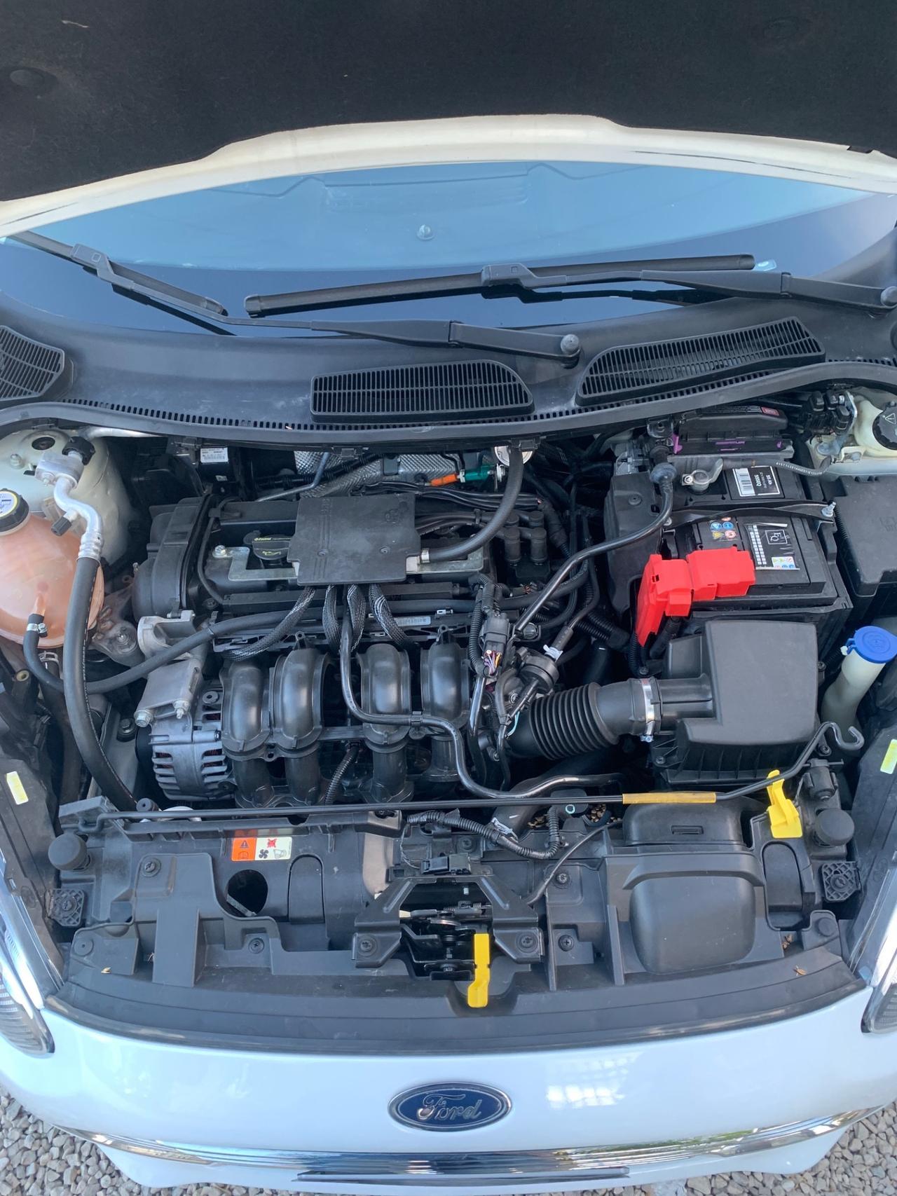Ford Fiesta 1.4 5 porte Bz.- GPL Business