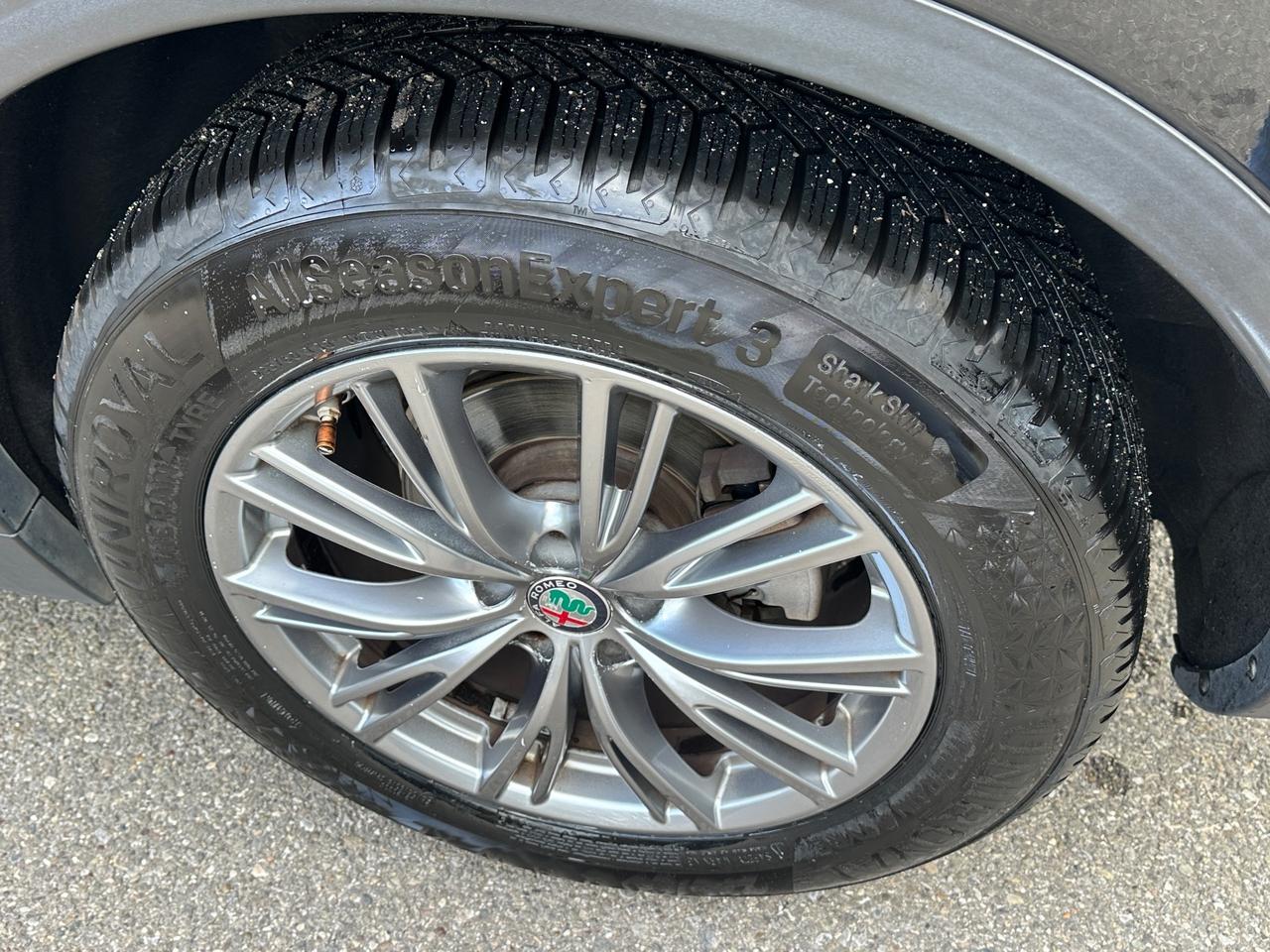 Alfa Romeo Stelvio 2.2 TD 180 CV AT8 RWD