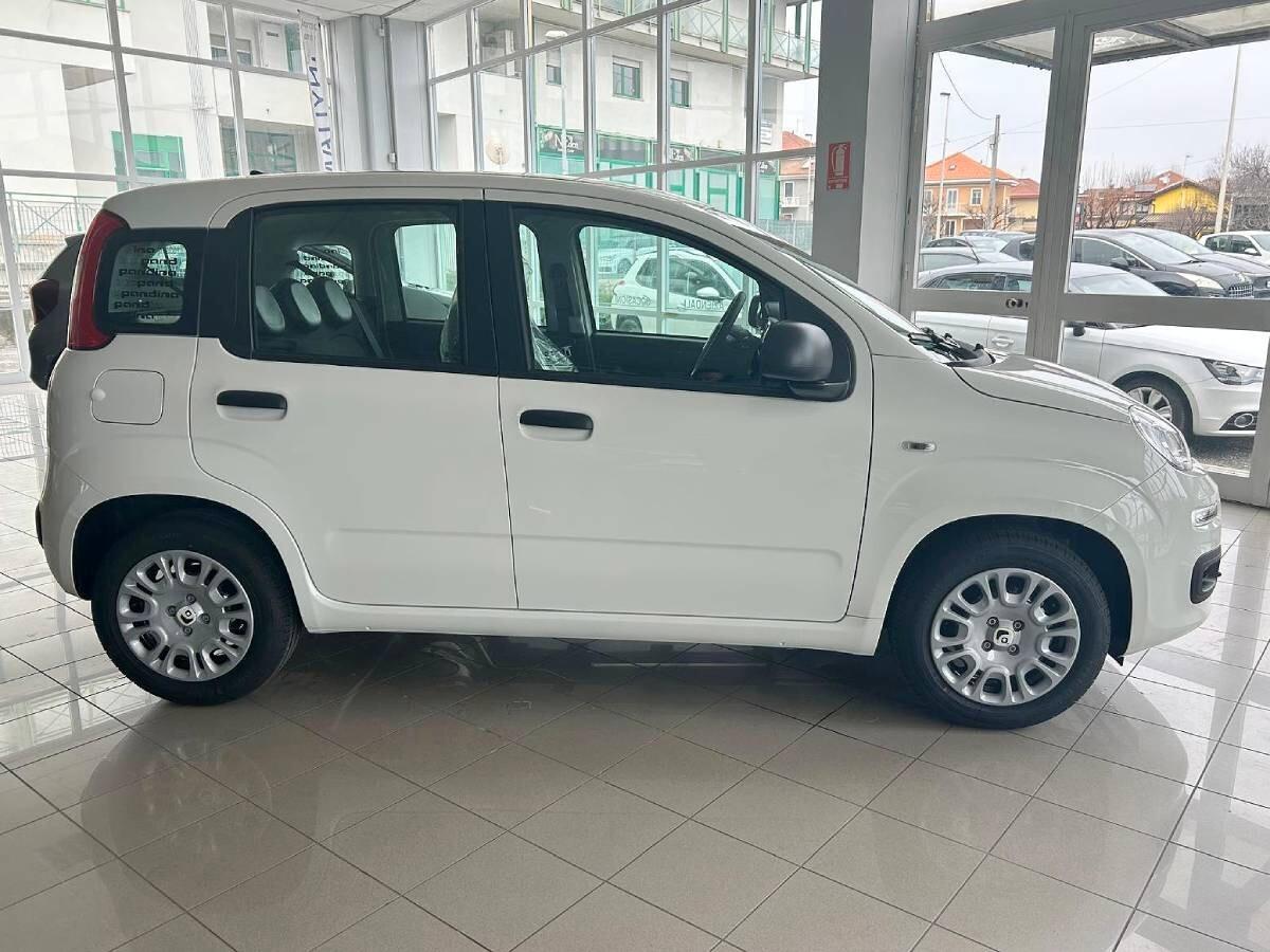 Fiat Panda 1.0 FireFly S&S Hybrid Icon