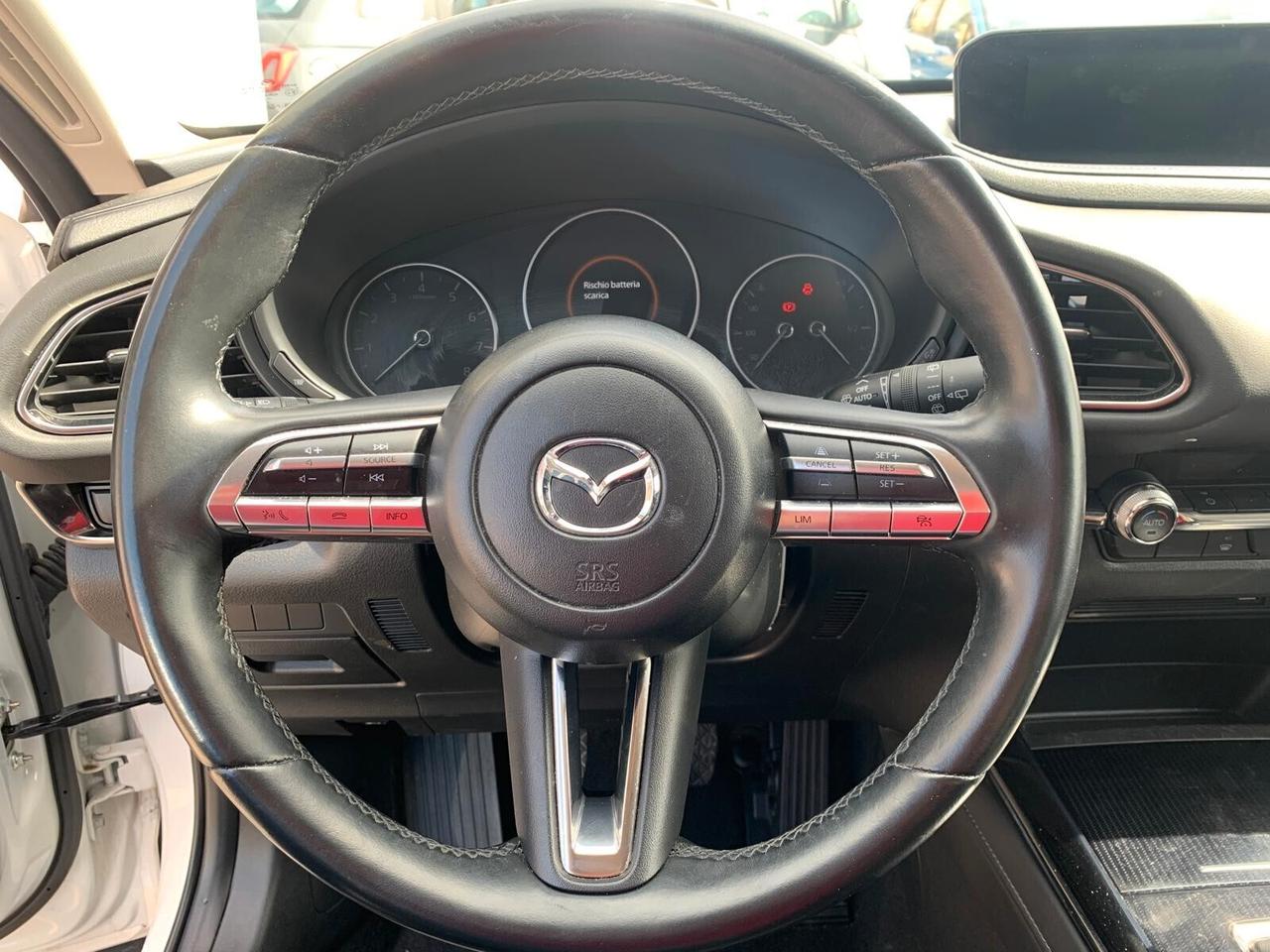 Mazda CX-30 2.0L Skyactiv-G M-Hybrid 2WD Executive