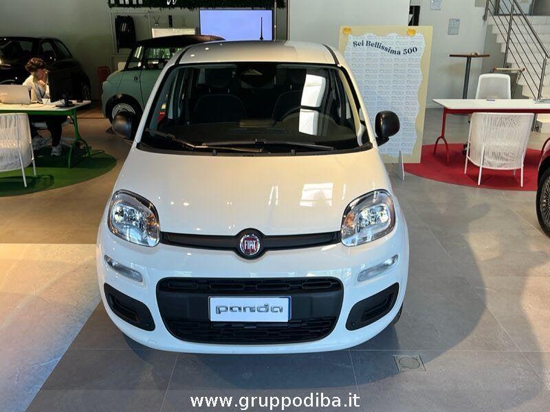 FIAT Panda 1BH 1.0 70cv Hybrid Icon