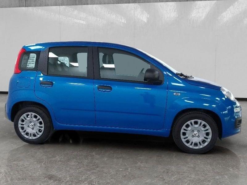 FIAT Pandina 1.0 firefly hybrid Icon s&s 70cv 5p.ti
