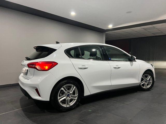 FORD Focus 1.5 EcoBlue 120 CV 5p. Business