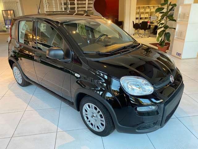 Fiat Panda Panda 1.0 firefly hybrid s