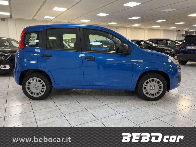 FIAT Panda Panda 1.0 FireFly S&S Hybrid Icon