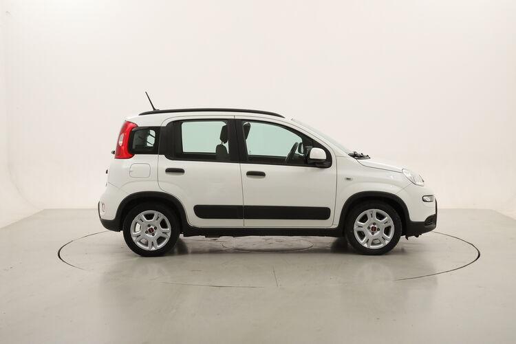 Fiat Panda Hybrid City Life BR999865 1.0 Mild Hybrid 70CV