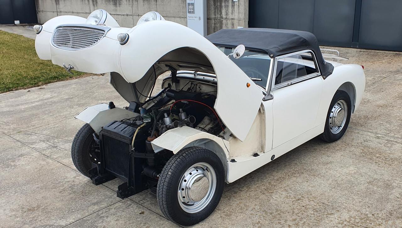 Austin Healey SPRITE FROG