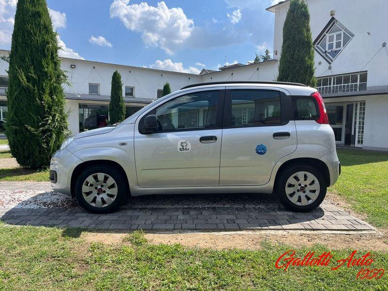 FIAT Panda 1.2 69cv Easy