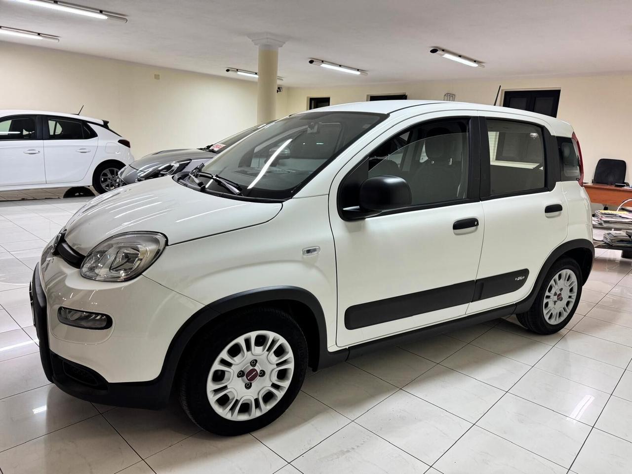 Fiat Panda 1.0 FireFly S&S Hybrid AZIENDALE