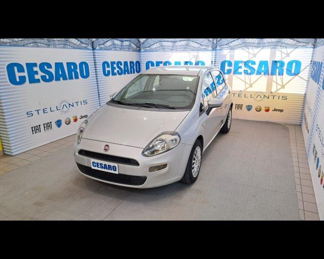 FIAT Punto 5p 1.3 mjt Street s&s 95cv