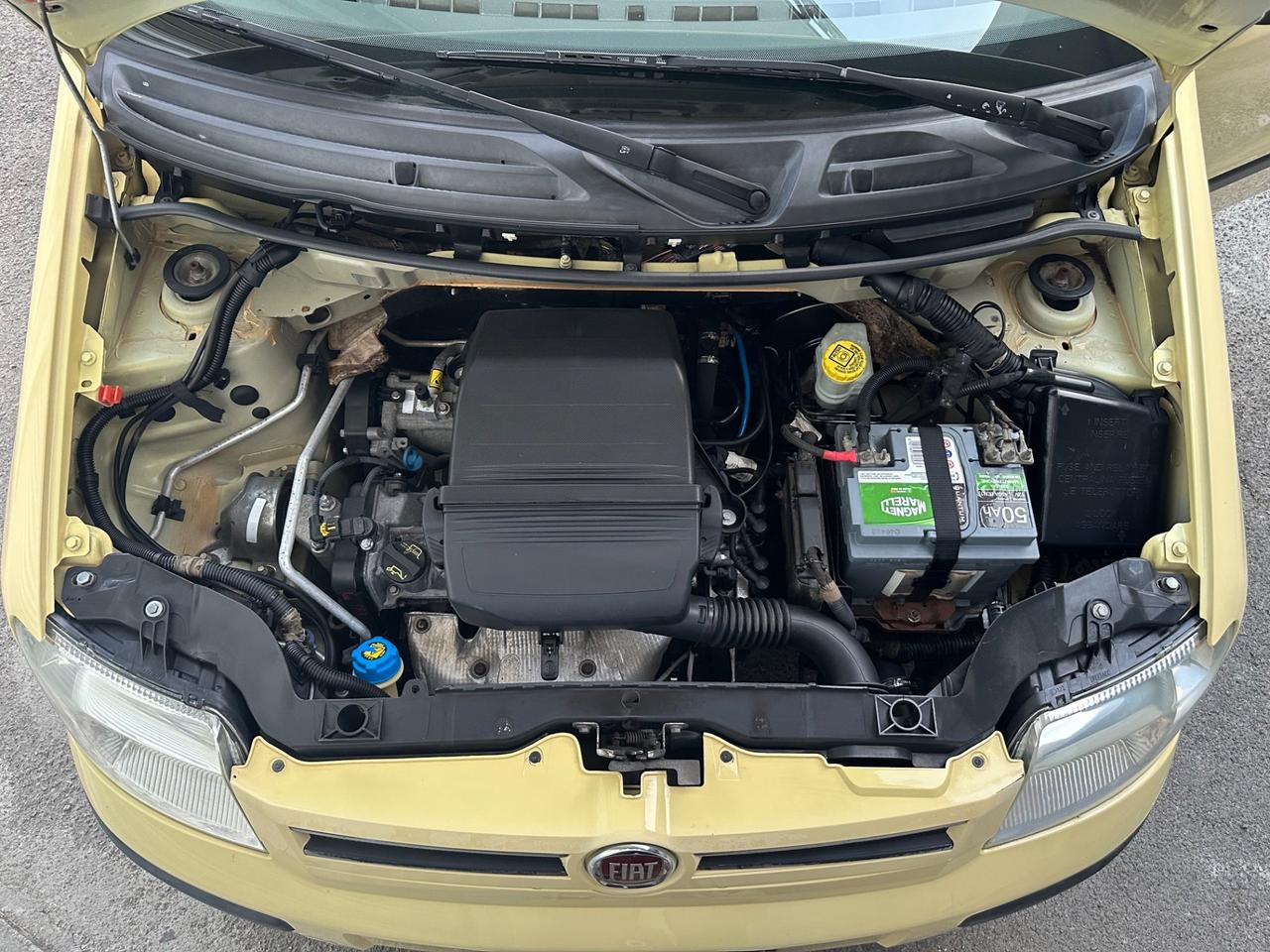 Fiat Panda 1.2 benzina 60cv Dynamic