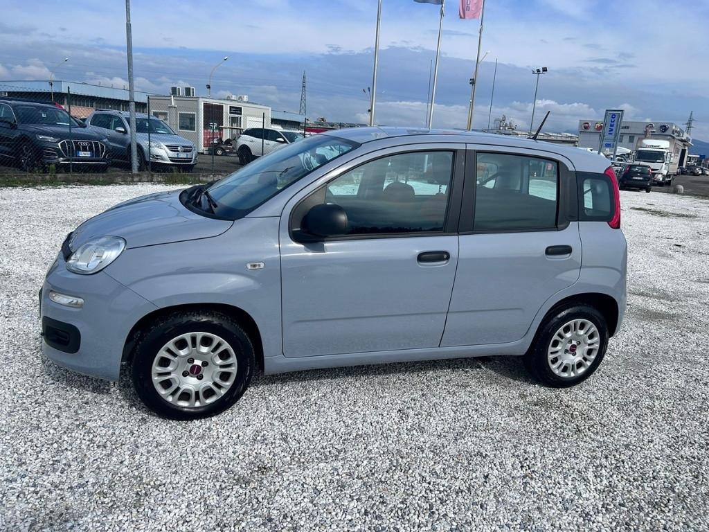 FIAT Panda III 2016 - Panda 1.2 Easy s&s 69cv my19