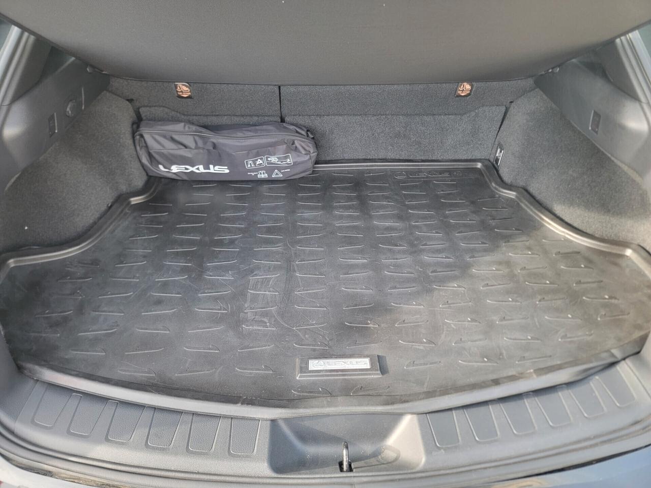 Lexus UX 250 Hybrid TAGLIANDATA LEXUS 16 MILA KM